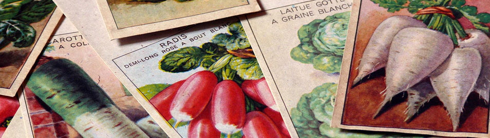 Aussaat-Pflanzen-Etiketten-Schilder