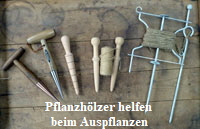 Pflanzhölzer mit Metallspitze, Pflanzleinen