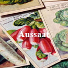 Aussaat-Pflanzetiketten-Aussaatschale-Samentüten-Tontöpfe