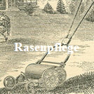 Rasenpflege-Löwenzahnstecher-dandelion weeder-Kantenstecher-Rasenkantenschere