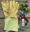 Rosen-Set "Musketiere" mit Stulpenhandschuhen aus Leder und Ausputzschere