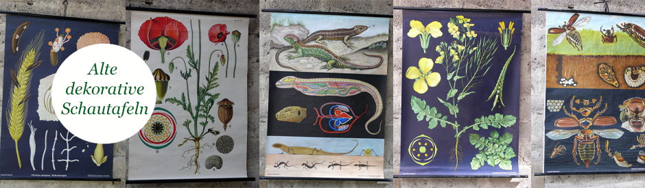 Alte, sch�ne Schautafeln aus der Schule erkl�ren Natur und schm�cken W�nde!
